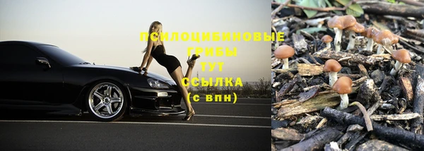 стафф Абинск