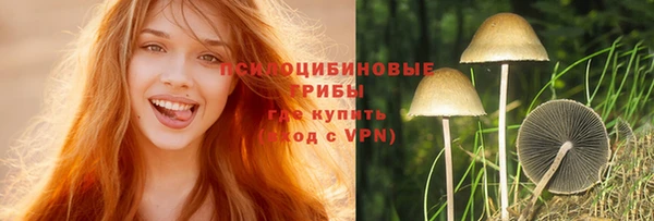 стафф Абинск